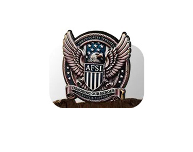 Lapel Pin
